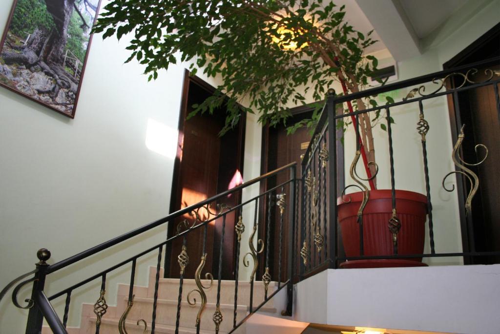 Family Hotel Zora Разлог Экстерьер фото